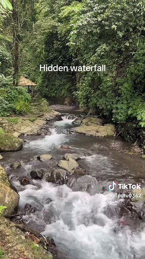 Discovering Gitgit Twin Waterfall in Buleleng, Bali