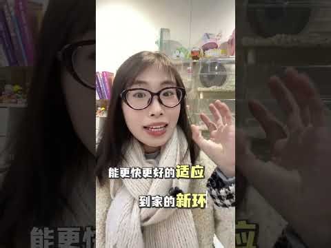 How to Keep Your Mice Alive: A Sunday Rat's Guide to Hamster Care