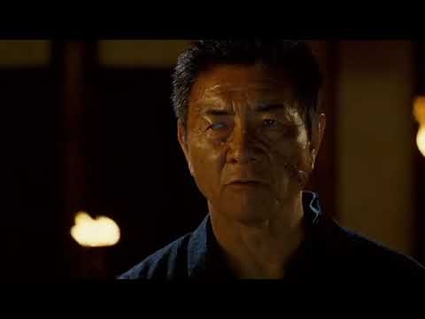 El ninja asesino (2009)