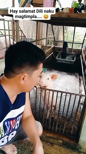 D'One update kaon na og dry ... #highlights | jefroxz23 hog procedure.