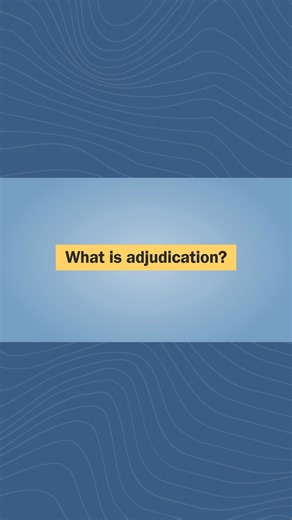 What is adjudication?