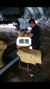 Filling Bagging Machine Fertilizer/sandy Soil Compost Vertical Automatic Packaging Machine Without Weighting Hopper