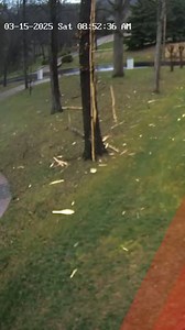 In a flash, the tree is struck by a bolt of lightning, causing an explosion in a Nashville homeowner's front lawn. | New York Post Video