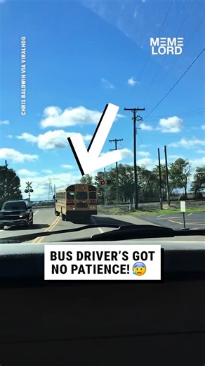 Steven Harmon | Railroad crossings can be confusing… #reels #dangerous #train #educational #safety #trafficlight #reaction | Instagram