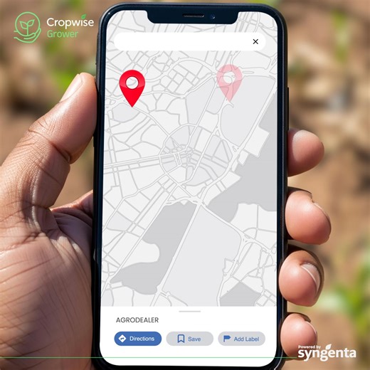 Don't know where to get Syngenta Crop Protection solutions? 🤔​ With Cropwise, finding nearby agro-dealers is just a tap away!​ No more guessing or long trips. Locate trusted retailers close to you on the map and get what you need faster.​ 📲 Download and register on Cropwise today and take control of your farming journey! https://play.google.com/store/apps/details?id=com.cropwisegrower.zm&hl=en-US #CropwiseGrower | Syngenta