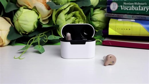 China Manufacture New CIC Hearing Aids 16 Channels Rechargeable for Noise Cancelling Travel Charging Case 18+ Hours