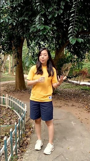 The Most Poisonous Tree in the World