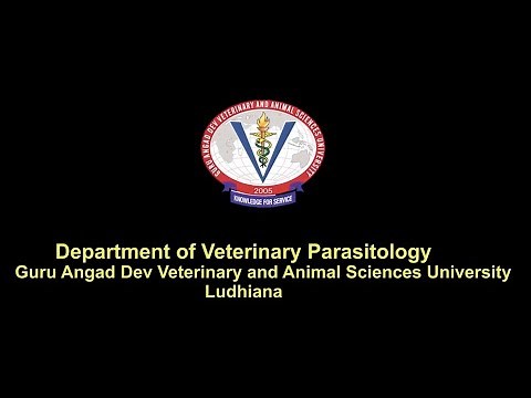 GADVASU. Video Tutorial of Practicals in Veterinary Parasitology