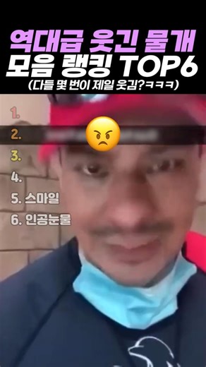 역대급 웃긴 물개 모음 랭킹 TOP6