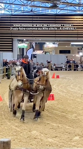 POV Horse-drawn carriage vs. car #rider #horse #sansansehorhorse #pov #equestrian #horse #edit