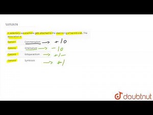 A sedentary sea anemone gets attached to the shell lining of hermit crab. The association is