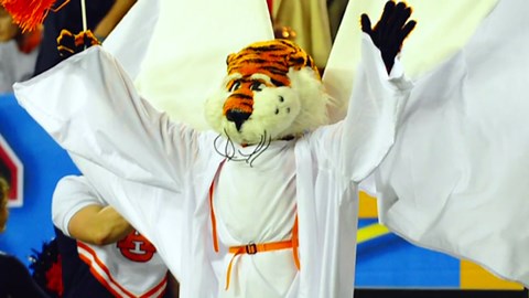 High Five counts down college football's TIger mascots