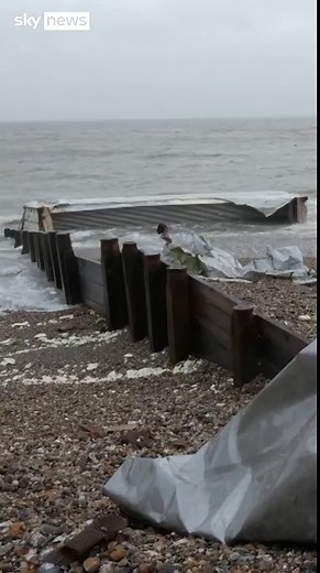 Cruise ship stuck in port after shipping containers carrying bananas fall off cargo ship