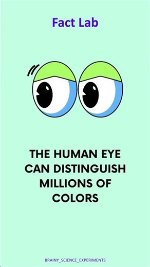 Your Eyes Can See MILLIONS of Colors! 🎨👁️ (Science Fact That Will Blow Your Mind)
