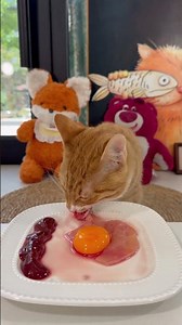 Here comes the little cat eating rice!