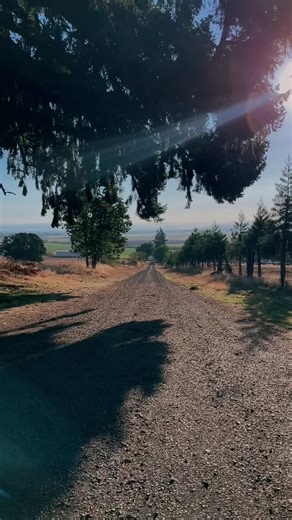 Serene Rural Landscape: Tranquil Countryside Scene