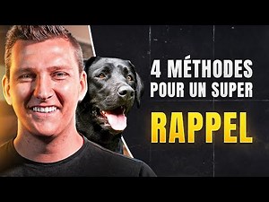 Apprendre le rappel pour chien : 4 techniques efficaces !
