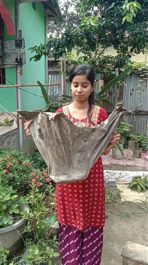 What happened to the viral flower pot?😰#shorts#diy#flowertot#gardening#youtube#viralvideo#plants