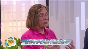 National Pollinator Month; Tips to attract hummingbirds