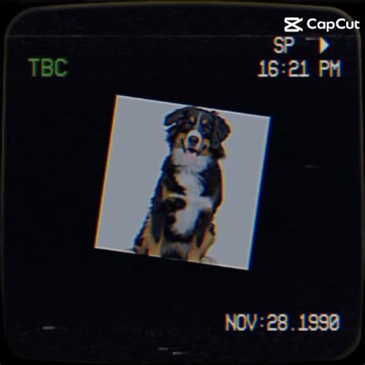 Video của mim cute:) (@mim_roblox_) với bản nhạc オリジナル楽曲 - まっち🐹 - 🫥