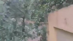 23K views · 137 reactions | 2 killed, over 10 missing in Kangra, Kullu as cloudbursts trigger flash floods in Himachal Pradesh #kullu #CloudBrust | Insides Kashmir | Facebook