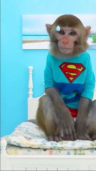Monkey Baby Shark | Nursery Rhymes & Kids Songs |Bobby Kids Songs