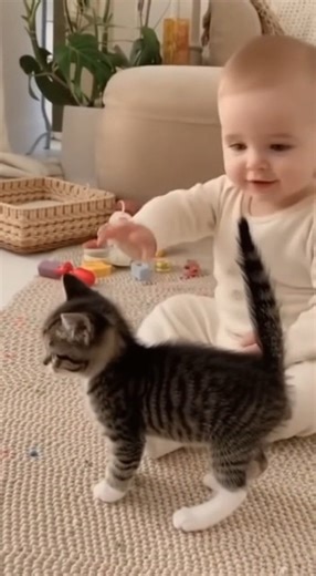 1.2M views · 19K reactions |  When your best friend turns into your tiny guardian angel! . . #Sora2 #cats #viralvideoシ #viral #fyp #foryou | Meowgic Moments | Facebook