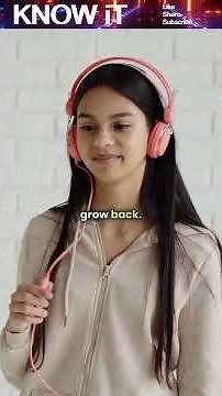 Does Headphones Damage Our Ears?