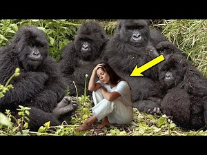 These Gorillas Grabbed A Woman In The Jungle. What Happened Next Will Amaze You!