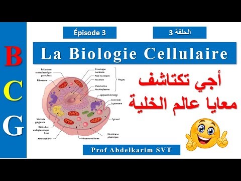 La différence entre La Cellule Animale et La Cellule Végétale S1 BCG #épisode_3