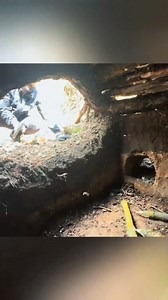 6.3K views · 124 reactions | #survival #bushcraft #build #camping #building | Building Survival | Facebook