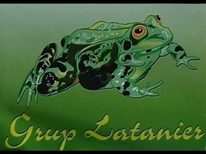 Soweto by Grup Latanier