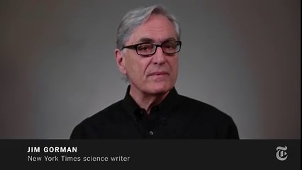 ScienceTake | How to Swim in Sand