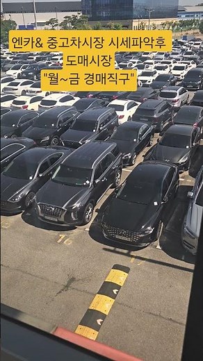엔카& 중고차시장 "상상소매가격" 아시나요? 수출중단 차 가격폭락~ 엔카/시장 가격표 속지 마세요!!시세파악후 "월~금 경매직구" 딜러매입가 체크 후 구매절약 #장한평중고차