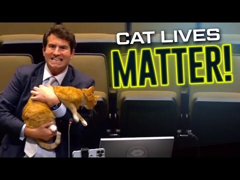Alex Stein ROASTS Plano City Council on Feline Rights