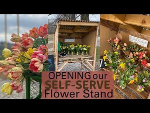 Opening Our Self Serve Flower Stand 🌷