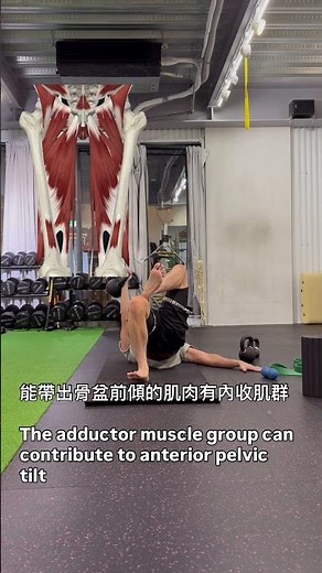 分腿蹲不能不知道的秘密！ #imps動作優化提升運動表現系列課程