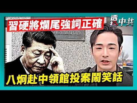【透視中共】雄安新區功能性爛尾 習近平強調決策正確｜懸賞通緝變笑話？八炯赴中領館投案竟被拒｜2026-03-24