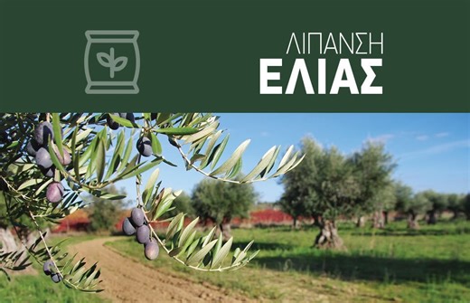 Η θρέψη της ελιάς από το Α  ως το Ω και οδηγός για μια εναλλακτική προσέγγιση