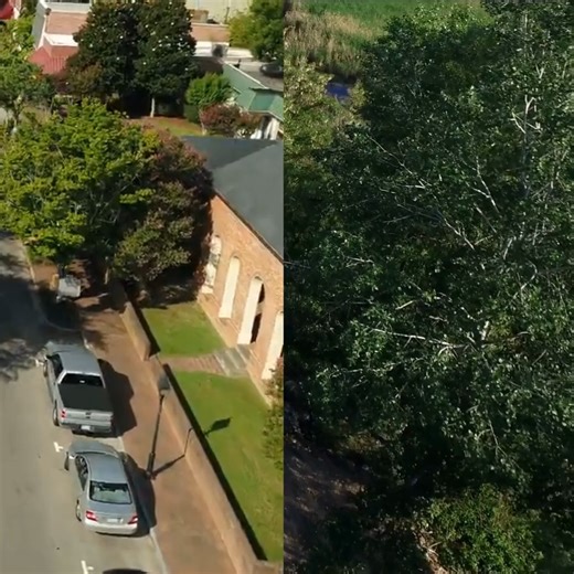 Visit Windsor Castle Park in downtown Smithfield for a taste of the country right in the heart of the town! Walking trails, the historic Manor House and outbuildings, a fishing pier, dog park and more will inspire you to get outdoors this gorgeous fall season. #smithfieldva #visitsmithfieldva #loveva #HamtownUSA Virginia is for Lovers | Visit Smithfield VA