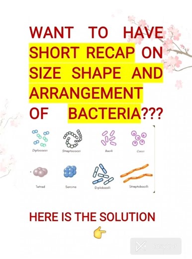 Bacteria Classification in 60s! 🦠 + FREE PDF Notes 📑 #Shorts #neetbiology #microbiology #freepdf 📚