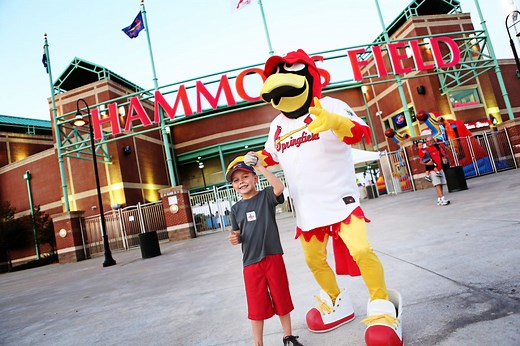 See A Springfield Cardinals Game In Springfield, MO