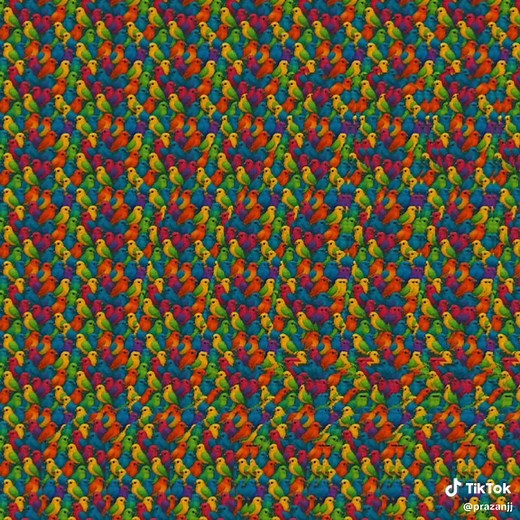 How to View a Stereogram: Techniques for Success