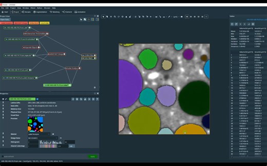 Avizo中Separate Objects命令的不同应用