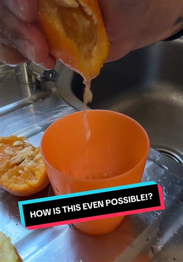 Unbelievable Lemon Tree Growth Explained!