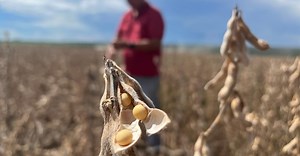 CMN aprova prorrogação de dívidas do crédito rural para MT que vencem em 2024 | Canal Rural Mato Grosso