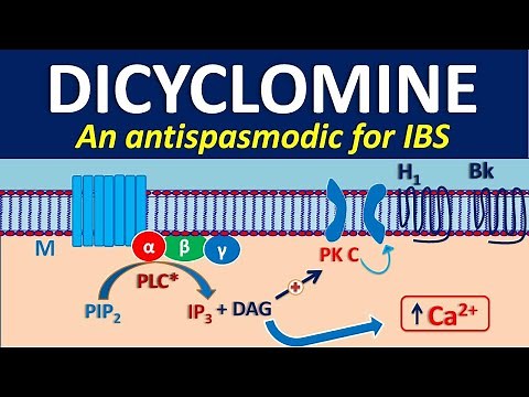 Dicyclomine as antispasmodic