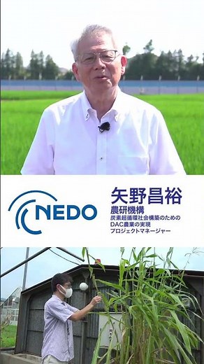 【NEDOムーンショット目標4】プロジェクトマネージャーが研究開発を紹介！植物バイオテクノロジーで実現するDAC農業がCO2削減／矢野昌裕（農研機構） #shorts #NEDO #moonshot