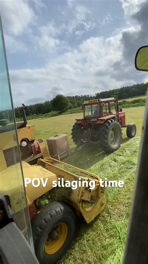 POV your silaging with Massey Fergusson #farming #farmlife #cuttingthegrass #masseyferguson
