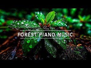 Forest Piano Music for Deep Relaxation & Zen | Nature Sounds for Sleep and Tranquility